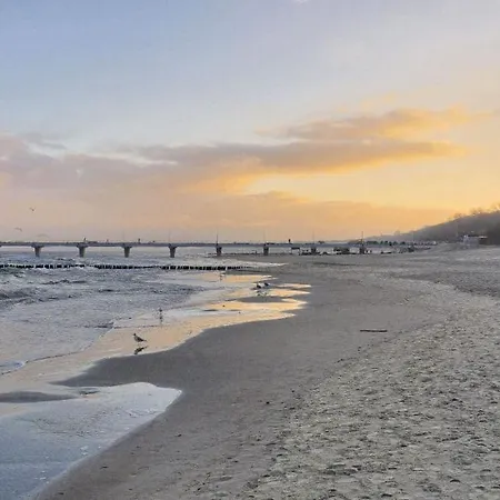 Vintage Porto Apartamento *